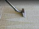 Mr Neate Carpet Cleaning logo